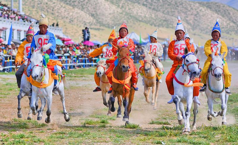藏族的民族传统节日-赛马节