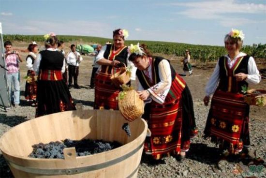 保加利亚葡萄节