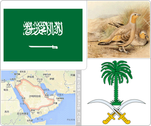 沙特阿拉伯国旗/国徽/国歌/国花/国树/国鸟