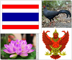 泰国国旗/国徽/国歌/国花/国树/国鸟/国兽