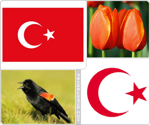 土耳其国旗/国徽/国歌/国花/国鸟/国石