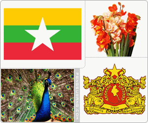 缅甸国旗/国徽/国歌/国花/国树/国鸟/国石