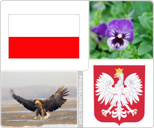 波兰国旗/国徽/国歌/国花/国鸟