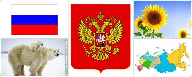 俄罗斯国旗/国徽/国歌/国花/国树/国鸟/国兽