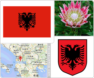 阿尔巴尼亚国旗/国徽/国歌/国花/国树/国鸟