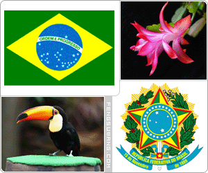 巴西国旗/国徽/国歌/国花/国树/国鸟