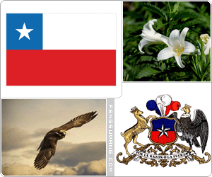 智利国旗/国徽/国歌/国花/国树/国鸟/国石/国舞