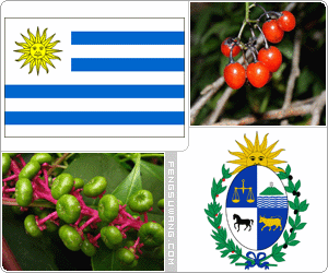 乌拉圭国旗/国徽/国歌/国花/国树/国鸟/国石