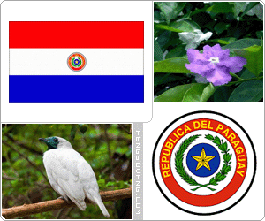 巴拉圭国旗/国徽/国歌/国花/国鸟