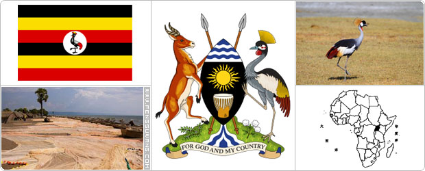乌干达国旗/国徽/国歌/国鸟