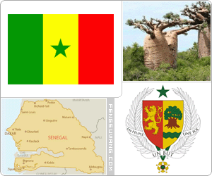 塞内加尔国旗/国徽/国歌/国树