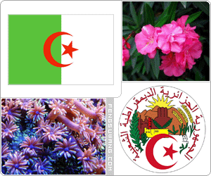 阿尔及利亚国旗/国徽/国歌/国花/国石