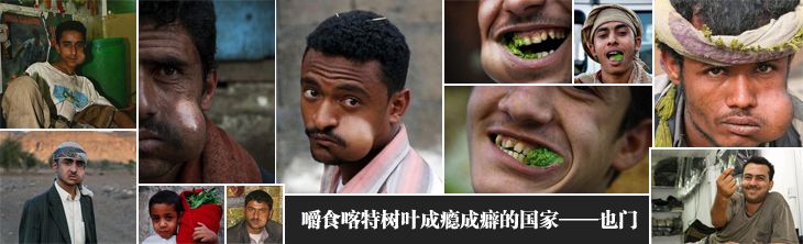 嚼食喀特树叶成瘾成癖的国家——也门