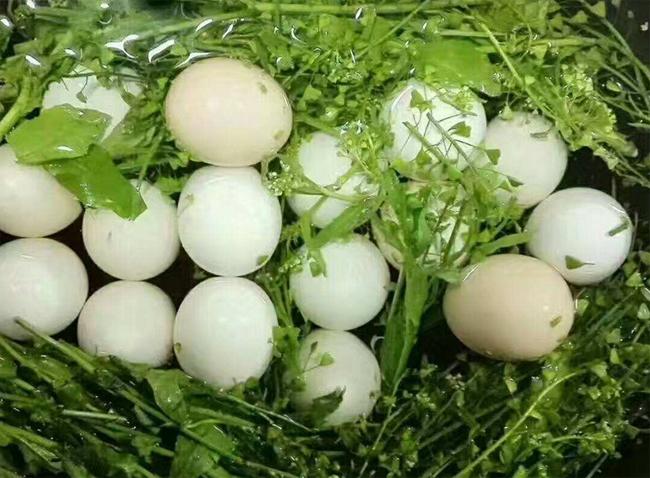 农历三月三吃地菜煮鸡蛋的习俗
