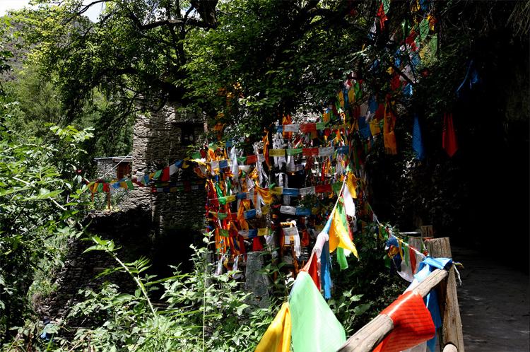 四川黑水色尔古藏寨“情人树”的传说