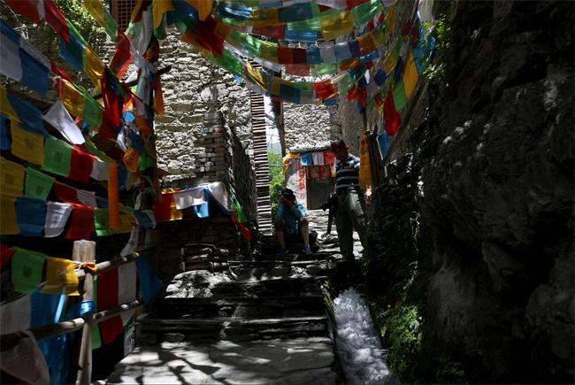 色尔古藏寨“情人树”