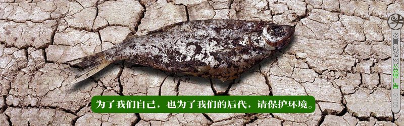 浙江衢州非物质文化遗产代表作名录名单