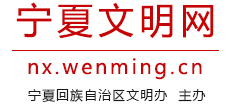 宁夏文明网logo,宁夏文明网标识