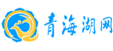 青海湖网logo,青海湖网标识