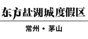江苏常州东方盐湖城logo,江苏常州东方盐湖城标识