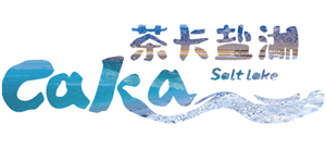 青海茶卡盐湖景区logo,青海茶卡盐湖景区标识