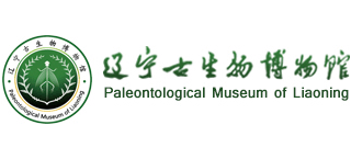 辽宁古生物博物馆Logo