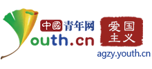 青少年爱国主义网Logo