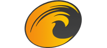 南国郴州网logo,南国郴州网标识