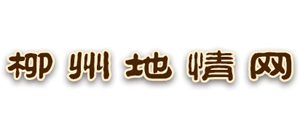 柳州地情网Logo