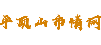 平顶山市情网Logo