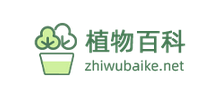 植物百科网Logo