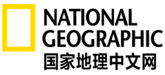 国家地理中文网logo,国家地理中文网标识