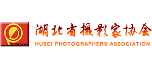 湖北省摄影家协会logo,湖北省摄影家协会标识